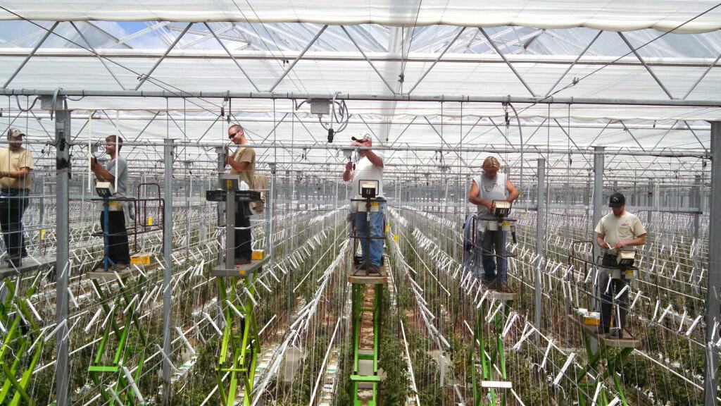 Agriculture Electricians